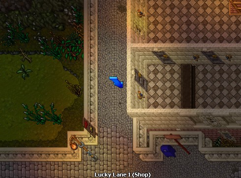 house image